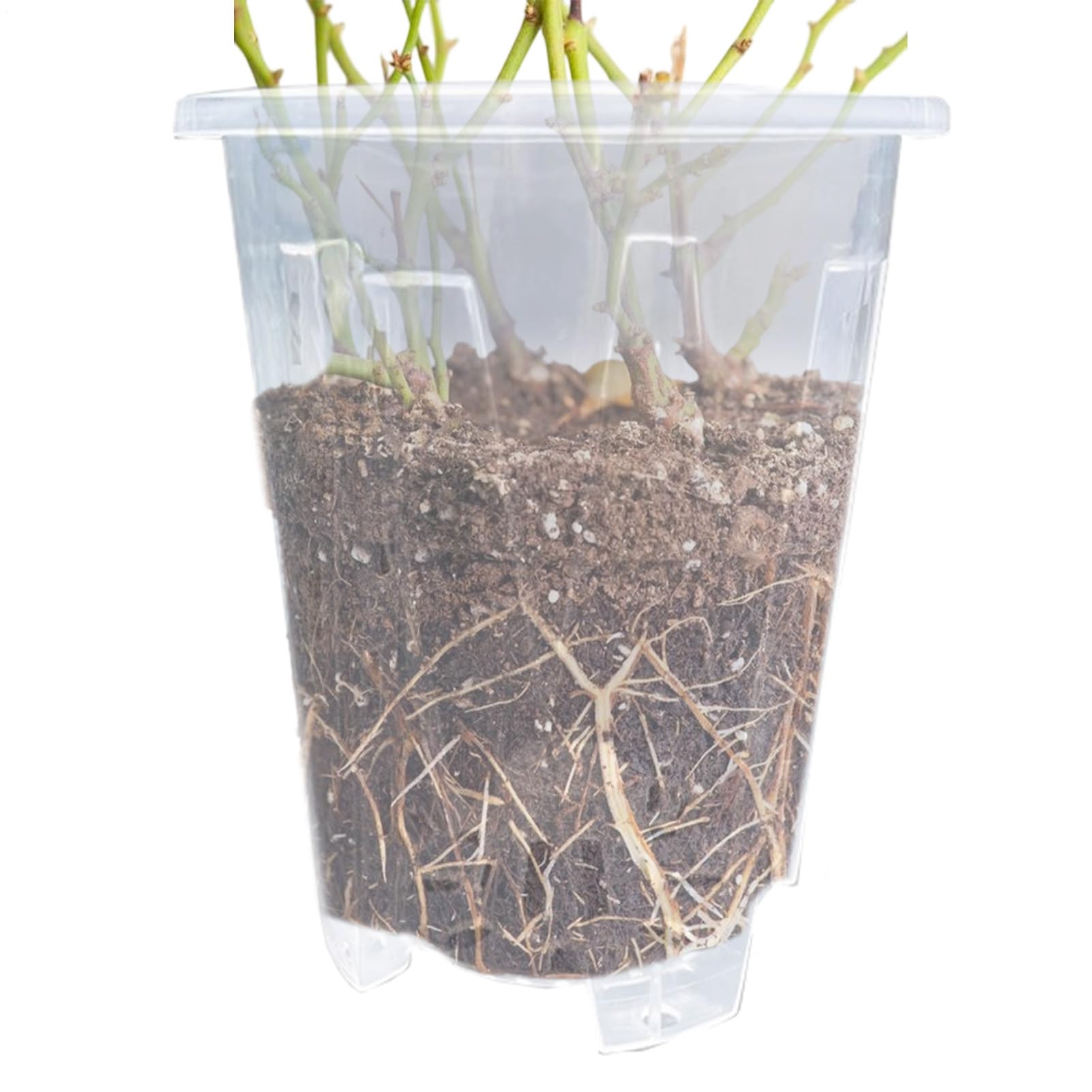 Générique Pot à Orchidées Respirant pour Intérieur | Panier Transparent Idéal pour Culture et Rempotage