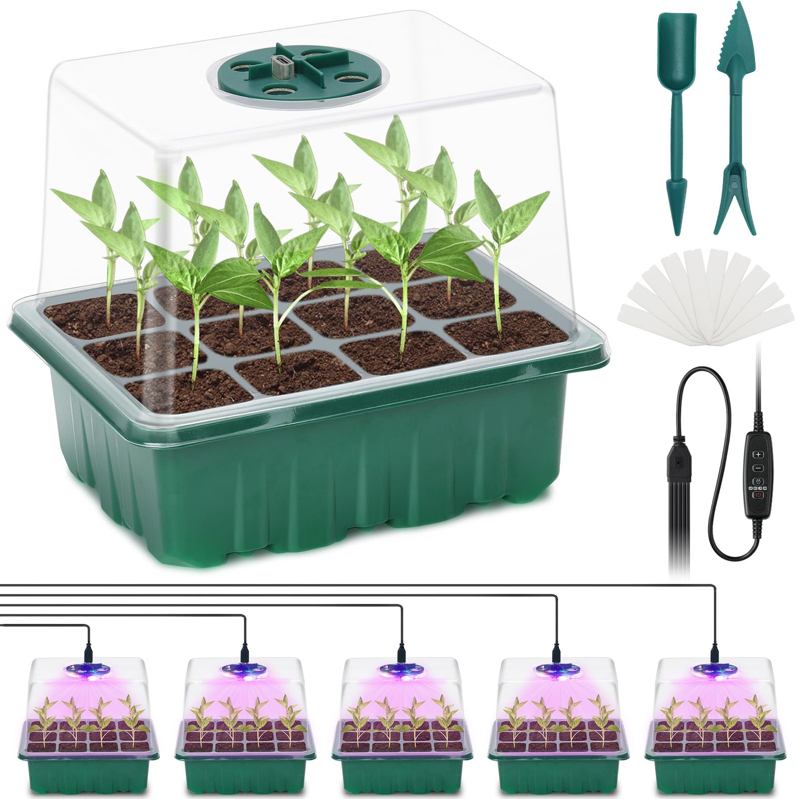 Serre pour Semis Intérieureavec Couvercles Rehaussés Lumière Solaire Boîte de Culture pour Serre D'Intérieur avec Évents